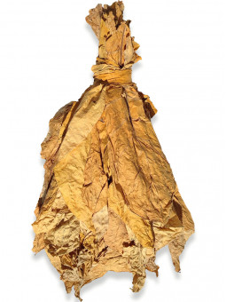 Botte de feuilles de tabac brut et naturel Virginie Air-cured