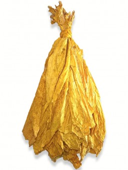 Botte de feuilles de tabac brut et naturel Virginie Blond