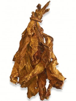 Botte de feuilles de tabac brut et naturel Virginie Orange