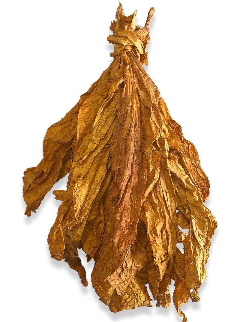 Botte de feuilles de tabac brut et naturel Oriental Samsoun