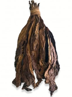 Botte de feuilles de tabac brut et naturel Kentucky Fire-cured