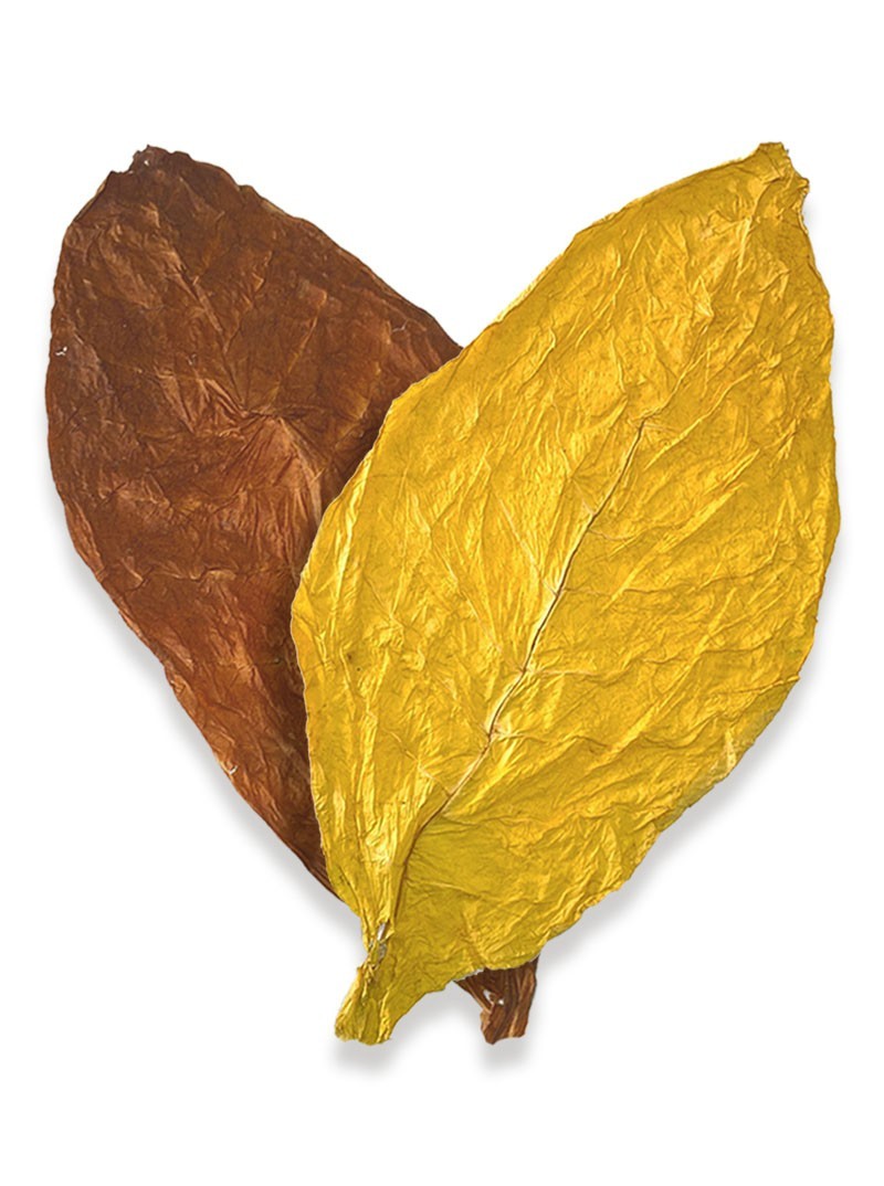 Mélange américain de feuilles de tabac 50% Virginie / 50% Burley