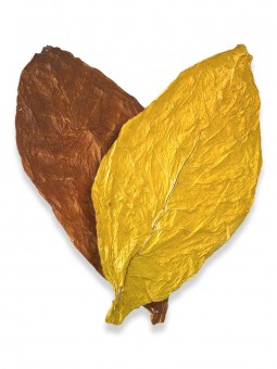 Mélange « AMERICAN 50/50 » de feuilles de tabac