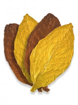 Mélange américain de feuilles de tabac 50% Virginie / 50% Burley