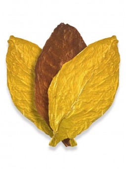 Mélange américain de feuilles de tabac 60% Virginie / 40% Burley
