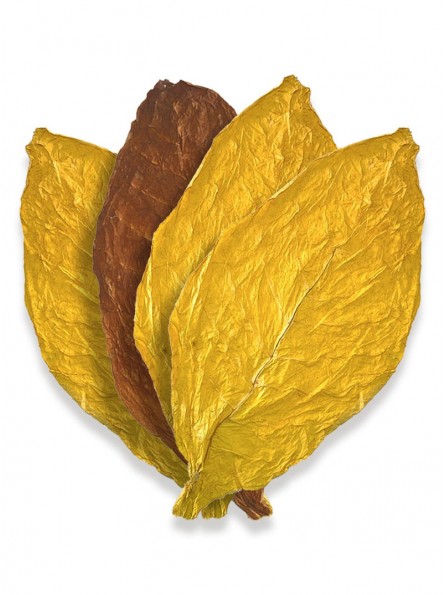 Mélange américain de feuilles de tabac 70% Virginie / 30% Burley