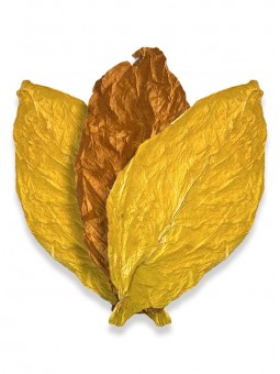 Mélange « ORIENTAL TRIPS » de feuilles de tabac 75% Virginie / 25% Oriental Samsoun