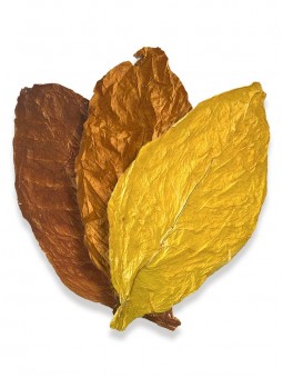 Mélange américain de feuilles de tabac 50% Virginie / 35% Burley / 15% Oriental